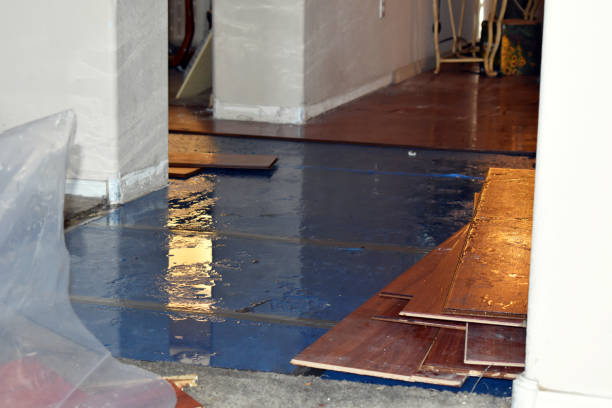 Professional Water Damage Restoration technician working in Babson Park, FL